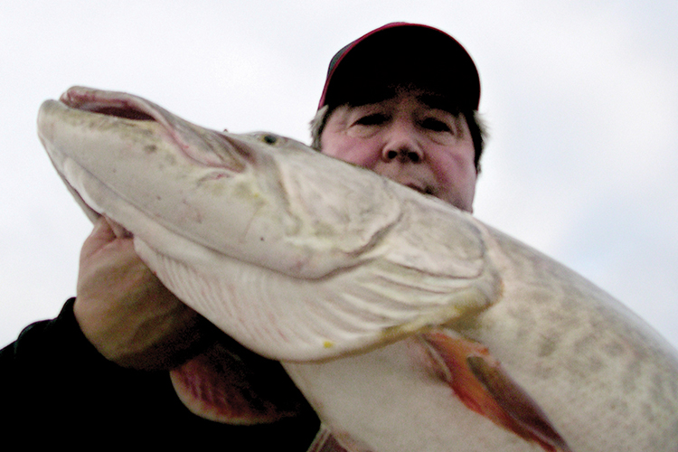 1,000 Islands: The Giant Muskie Factory - In-Fisherman